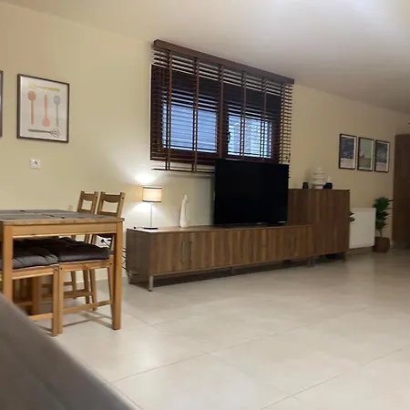 Luxury Stone Basement
